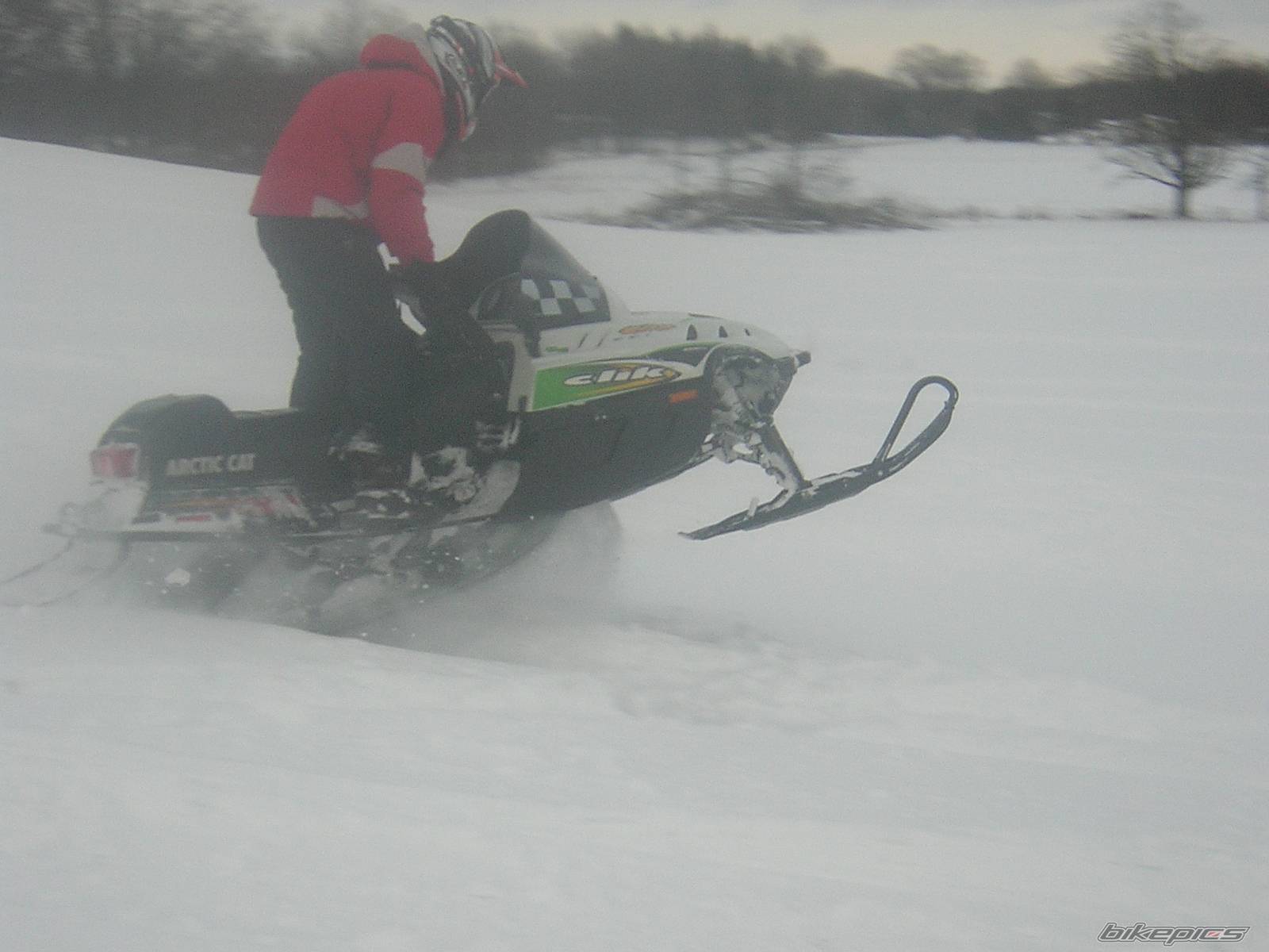 Photo 302065