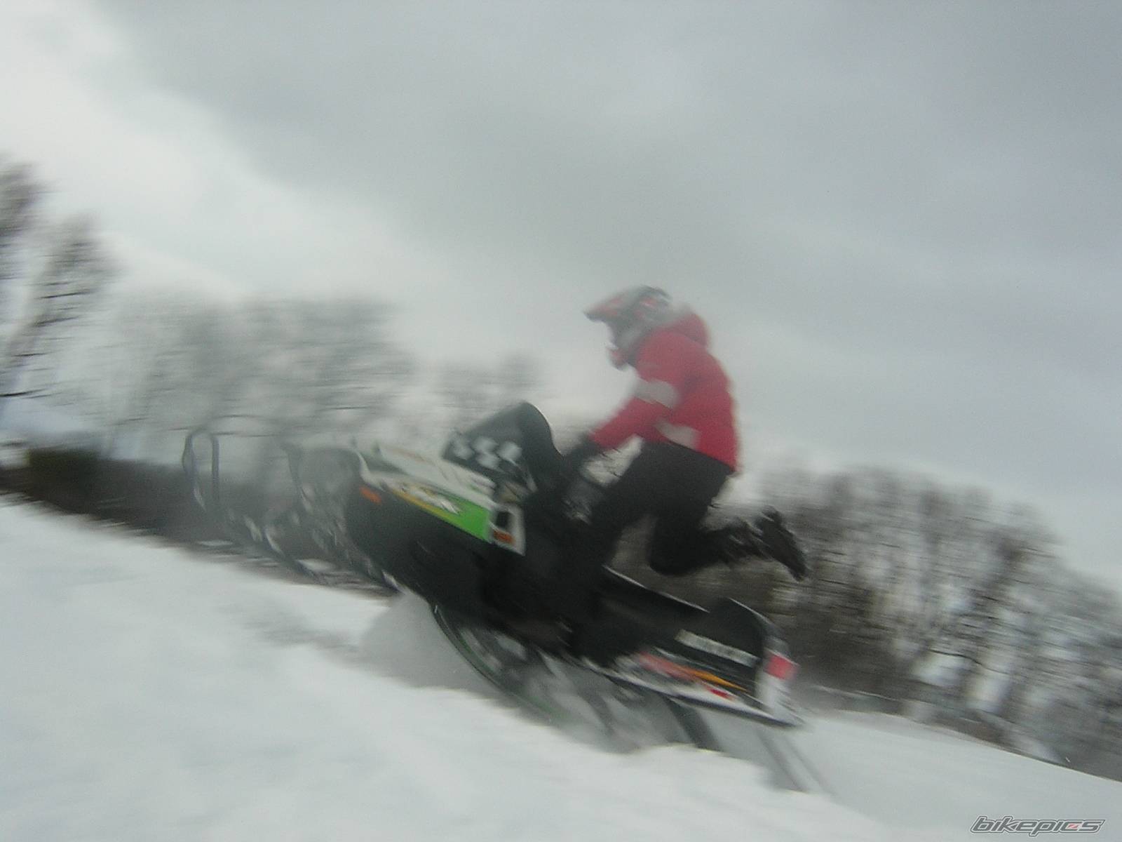 Photo 302066
