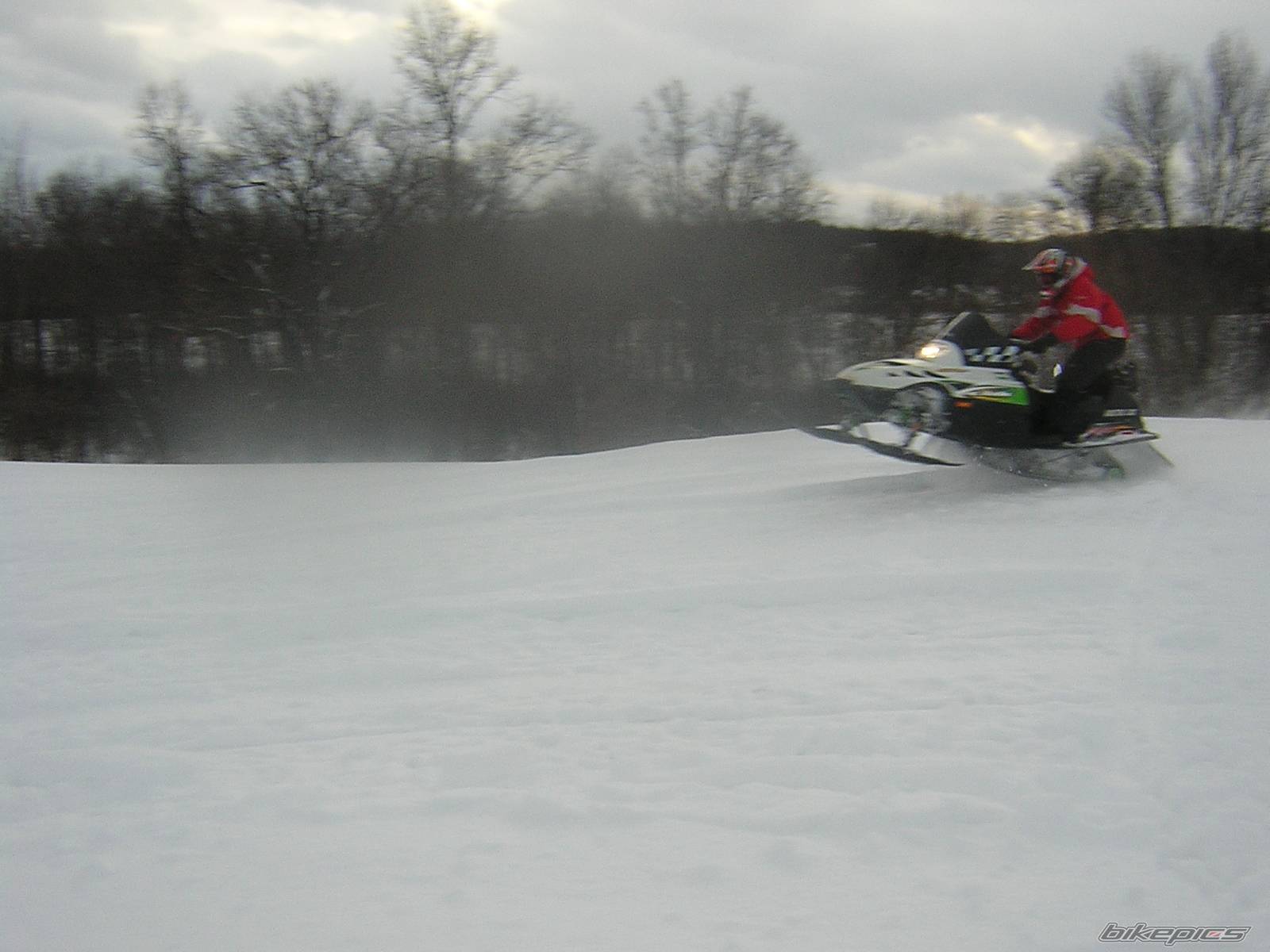Photo 302067