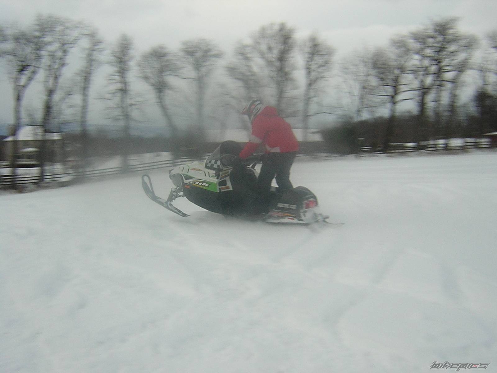 Photo 302068
