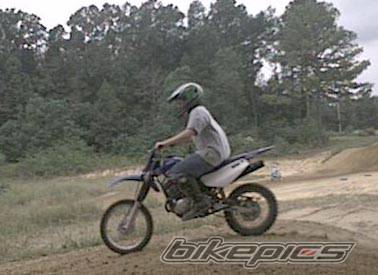 Photo 302073