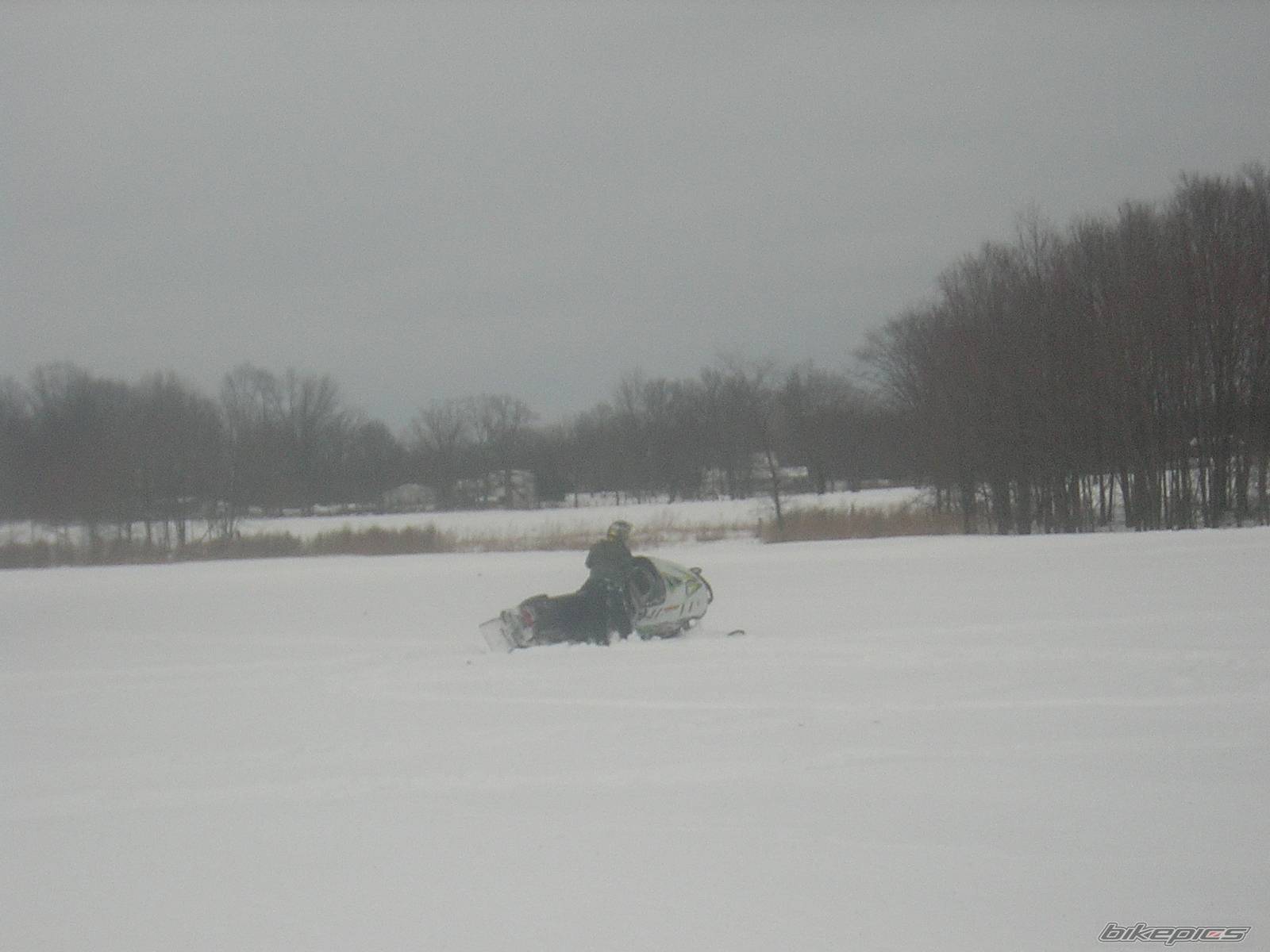 Photo 302076