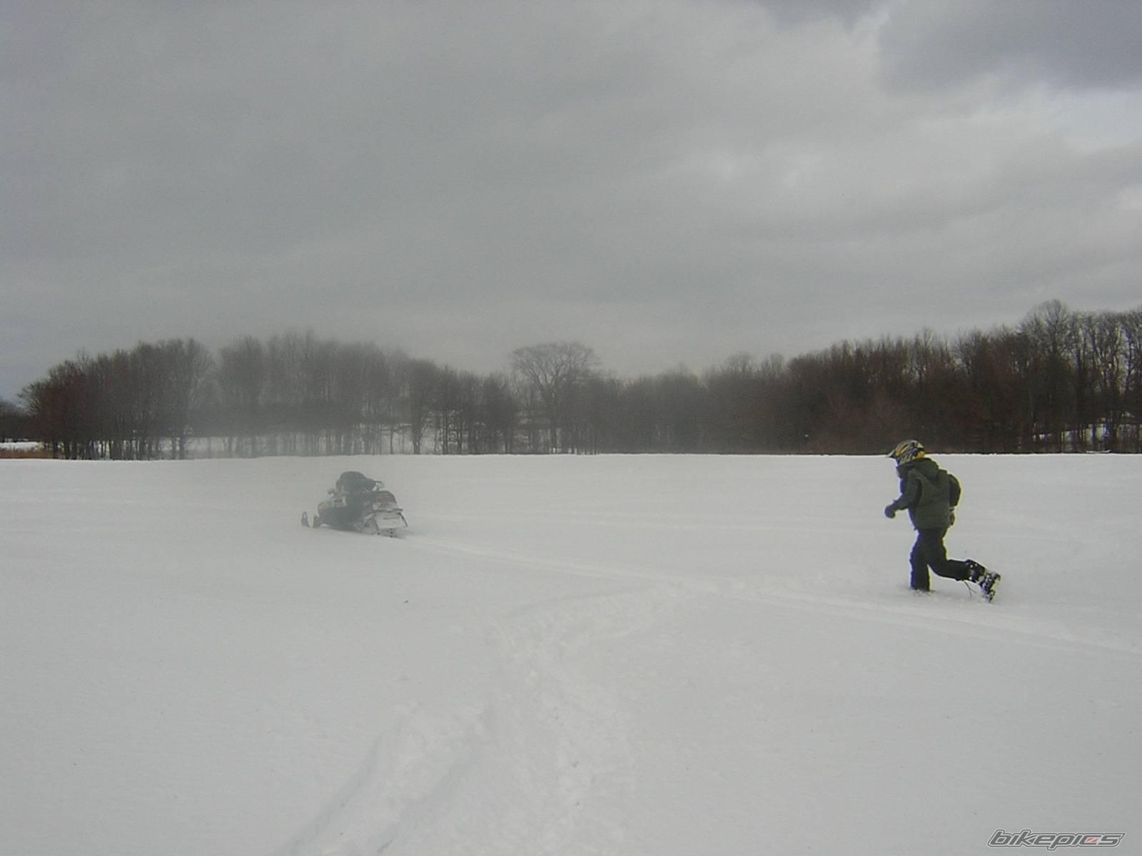 Photo 302079