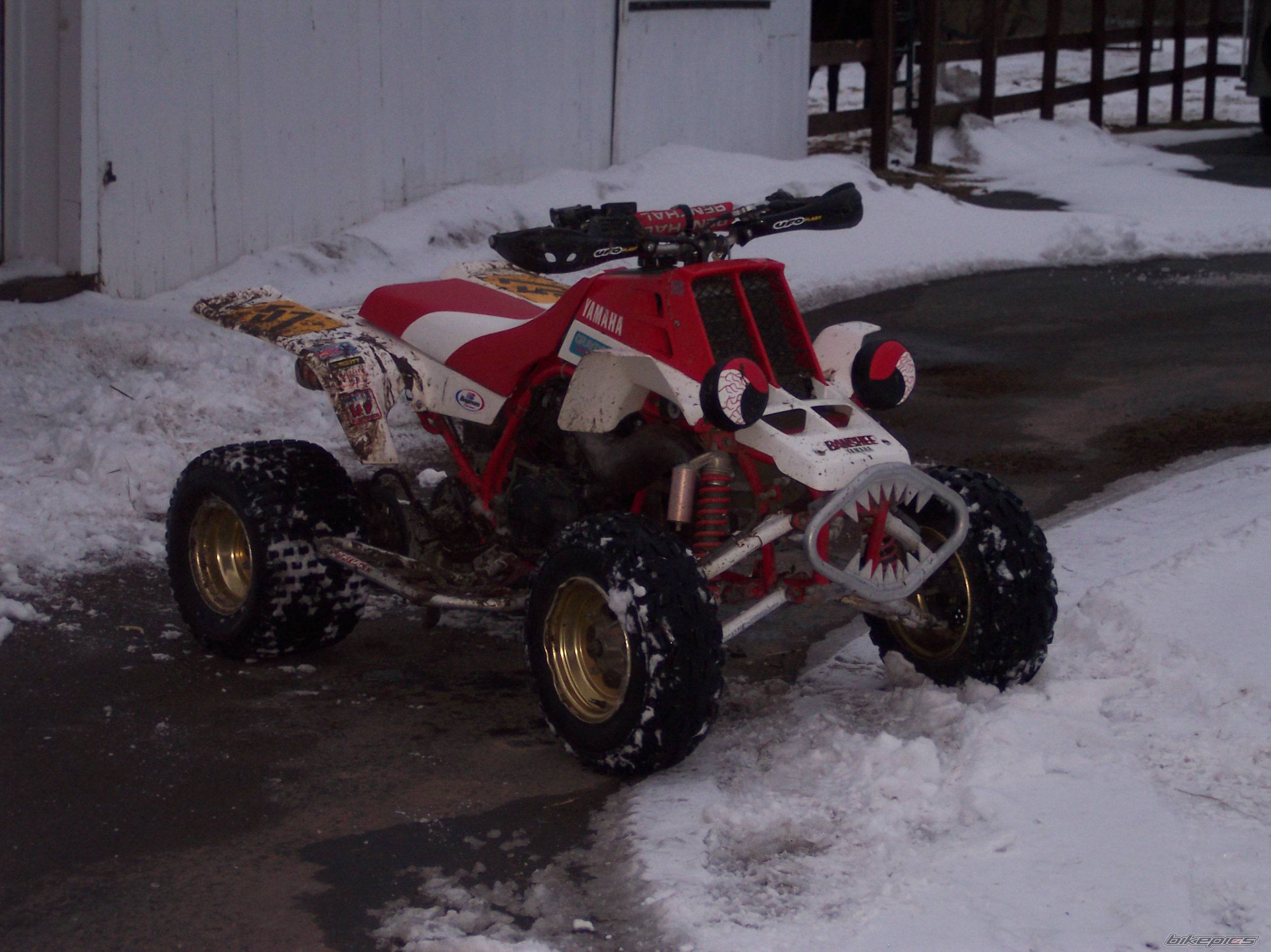 Photo 302094