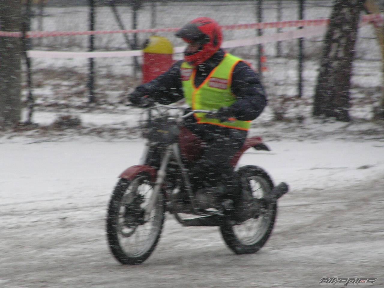 Photo 302247