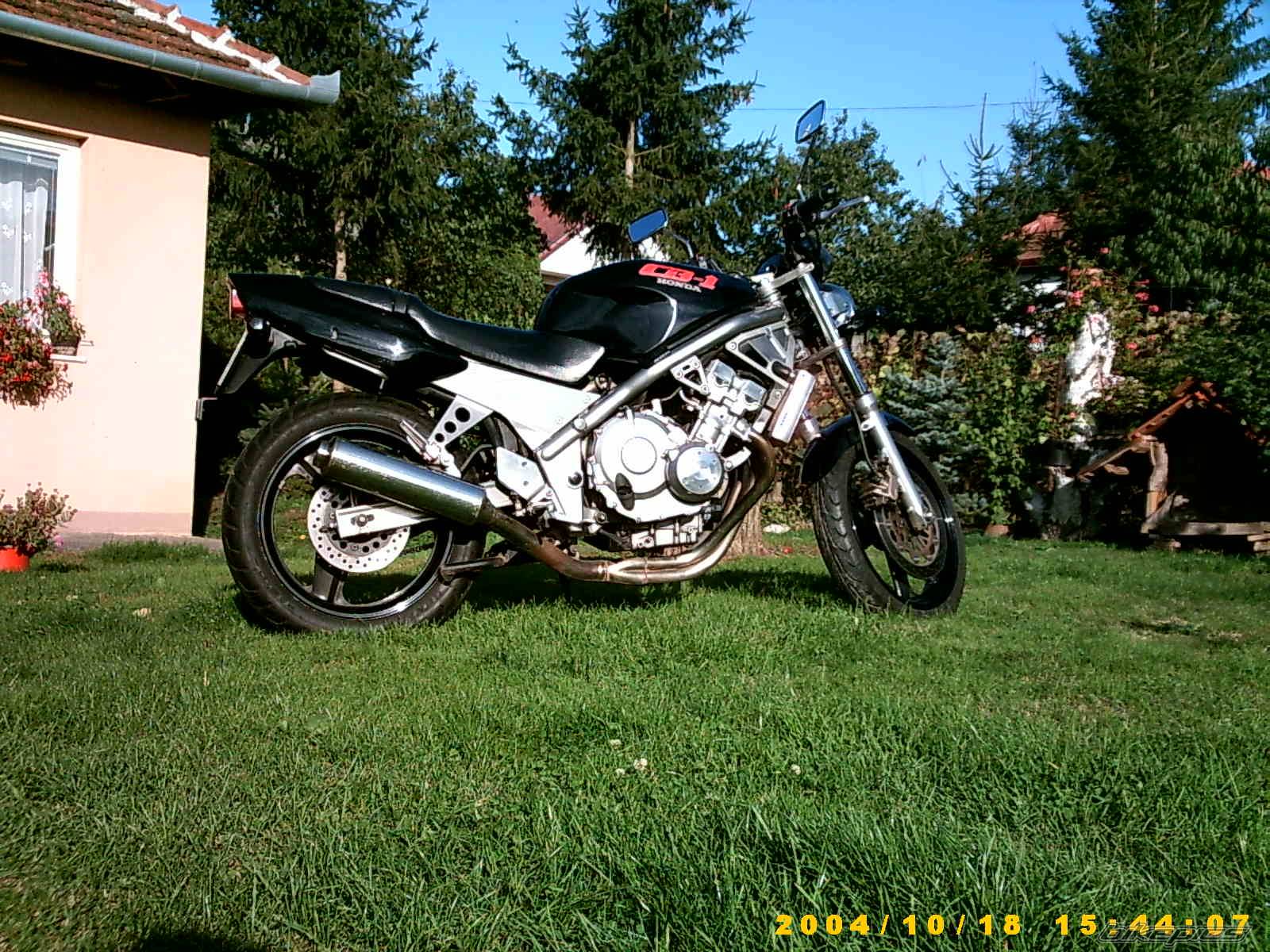 Photo 302254
