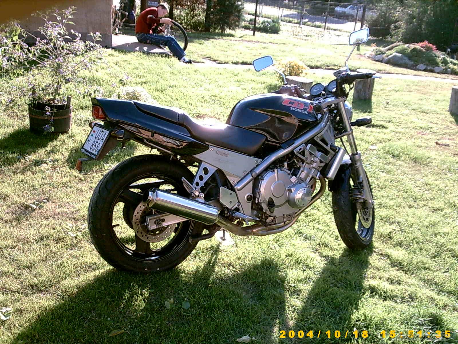 Photo 302255