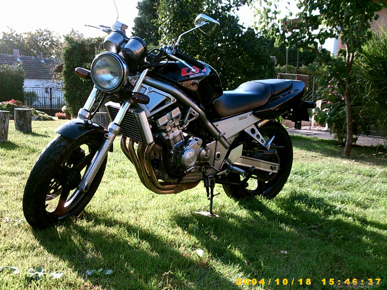 Photo 302256