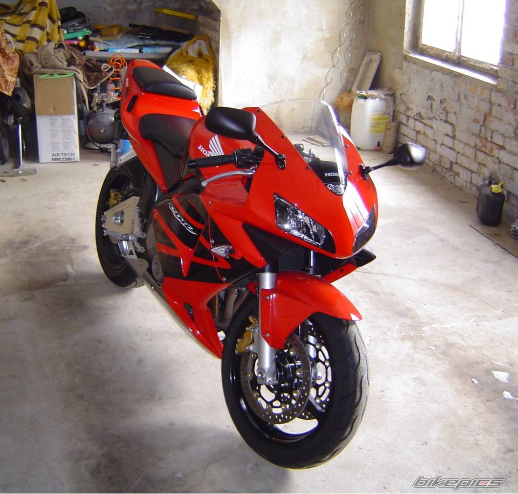 Photo 302273