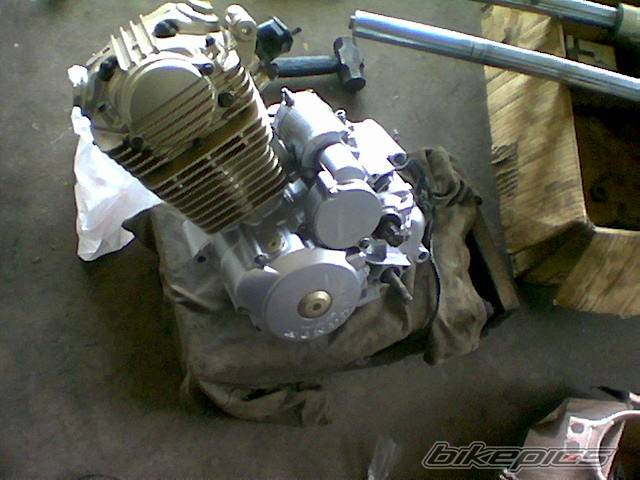 Photo 302327
