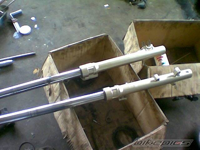 Photo 302329