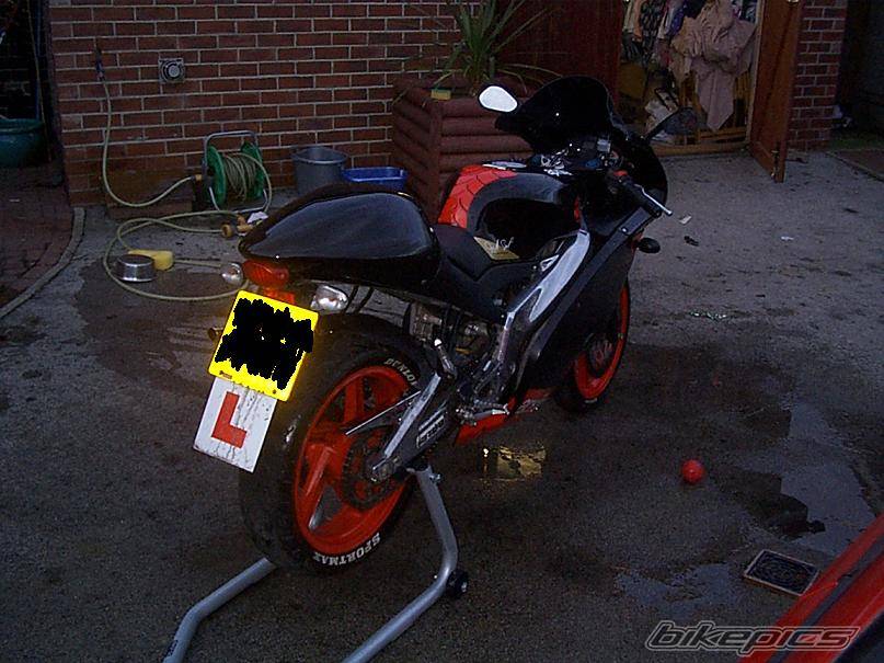 Photo 302344