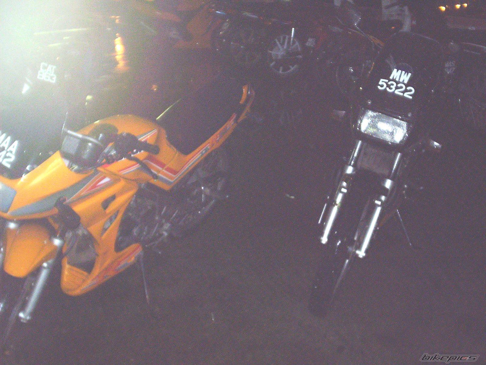 Photo 302360