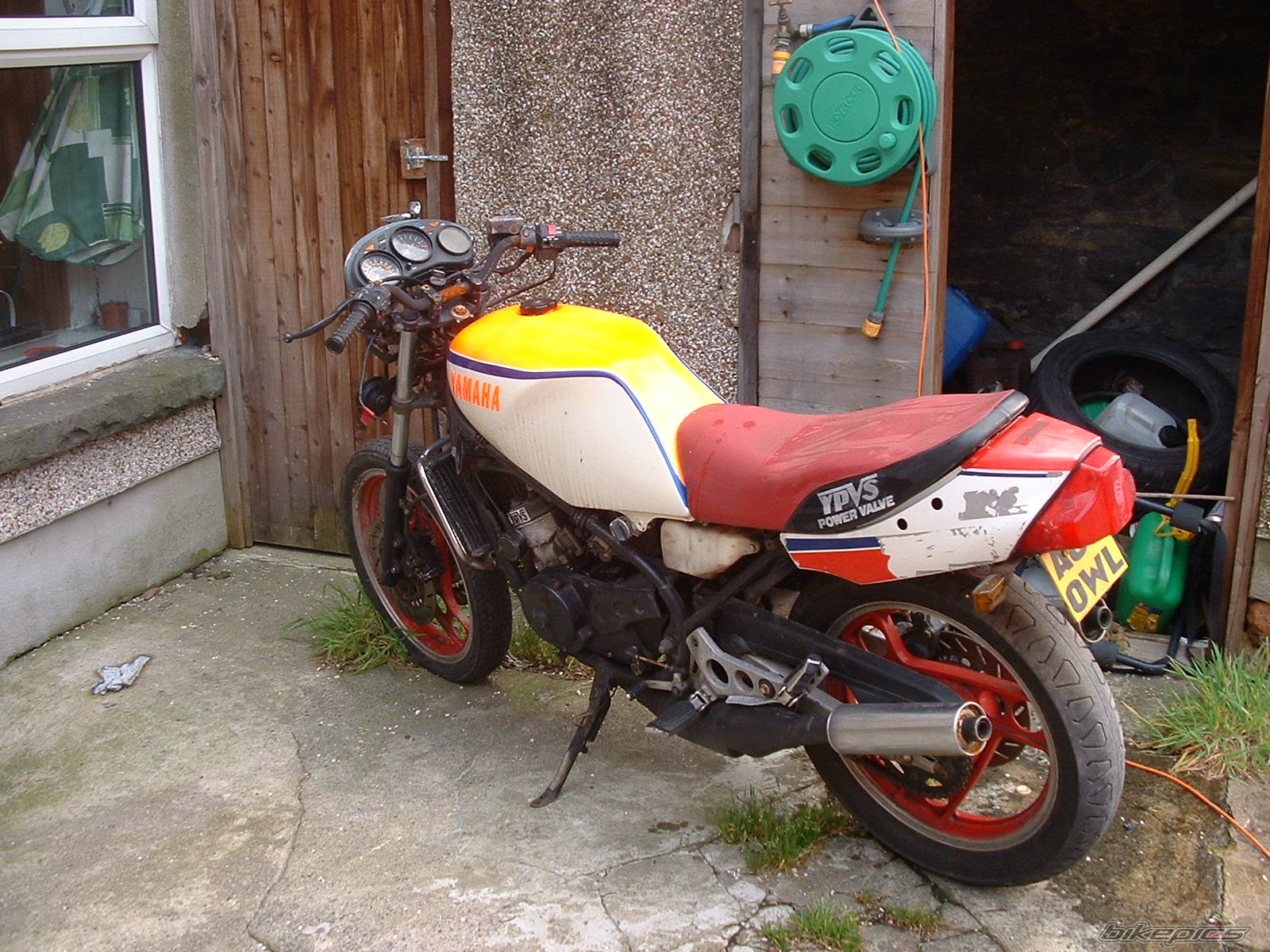 Photo 302385