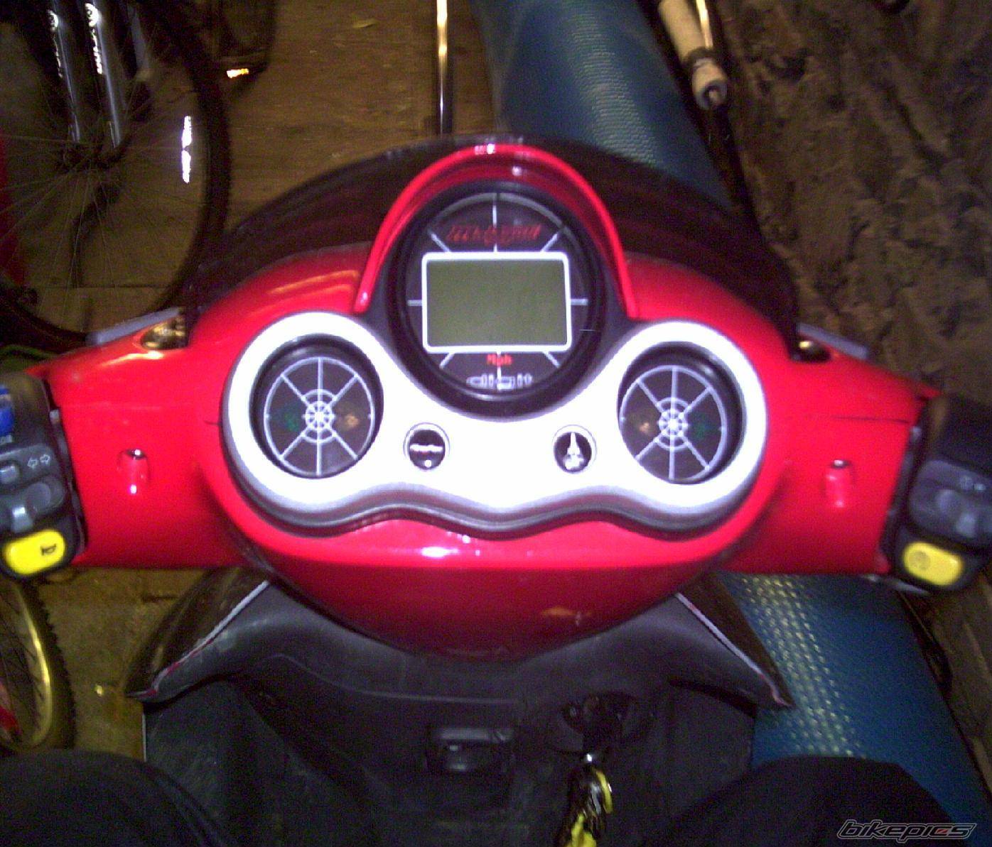Photo 302386