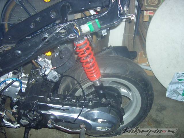 Photo 302472