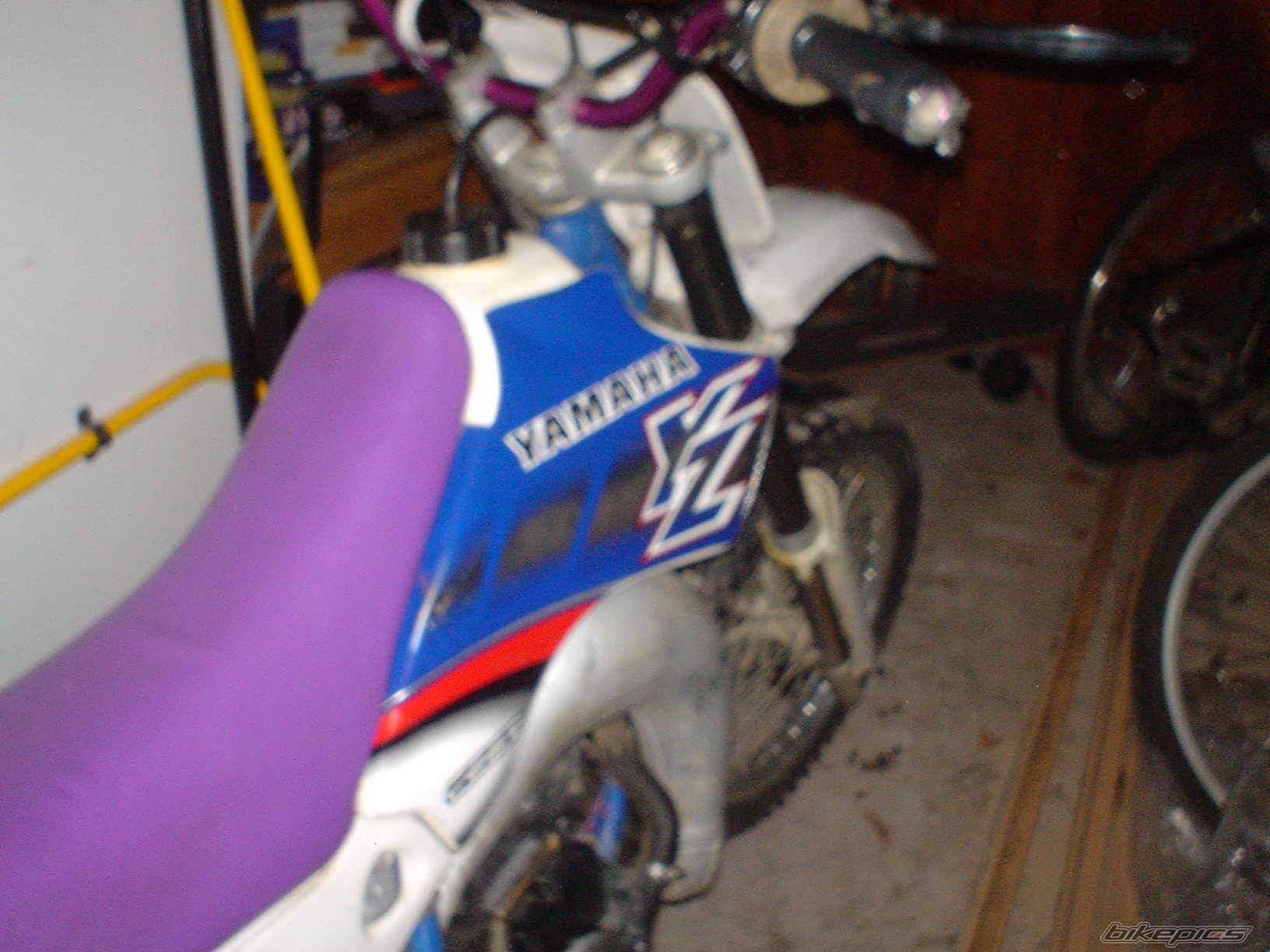 Photo 302526