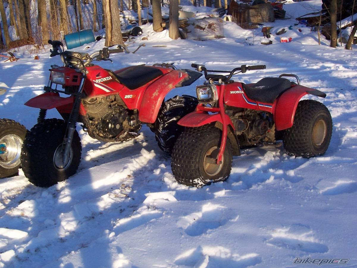 Photo 302534