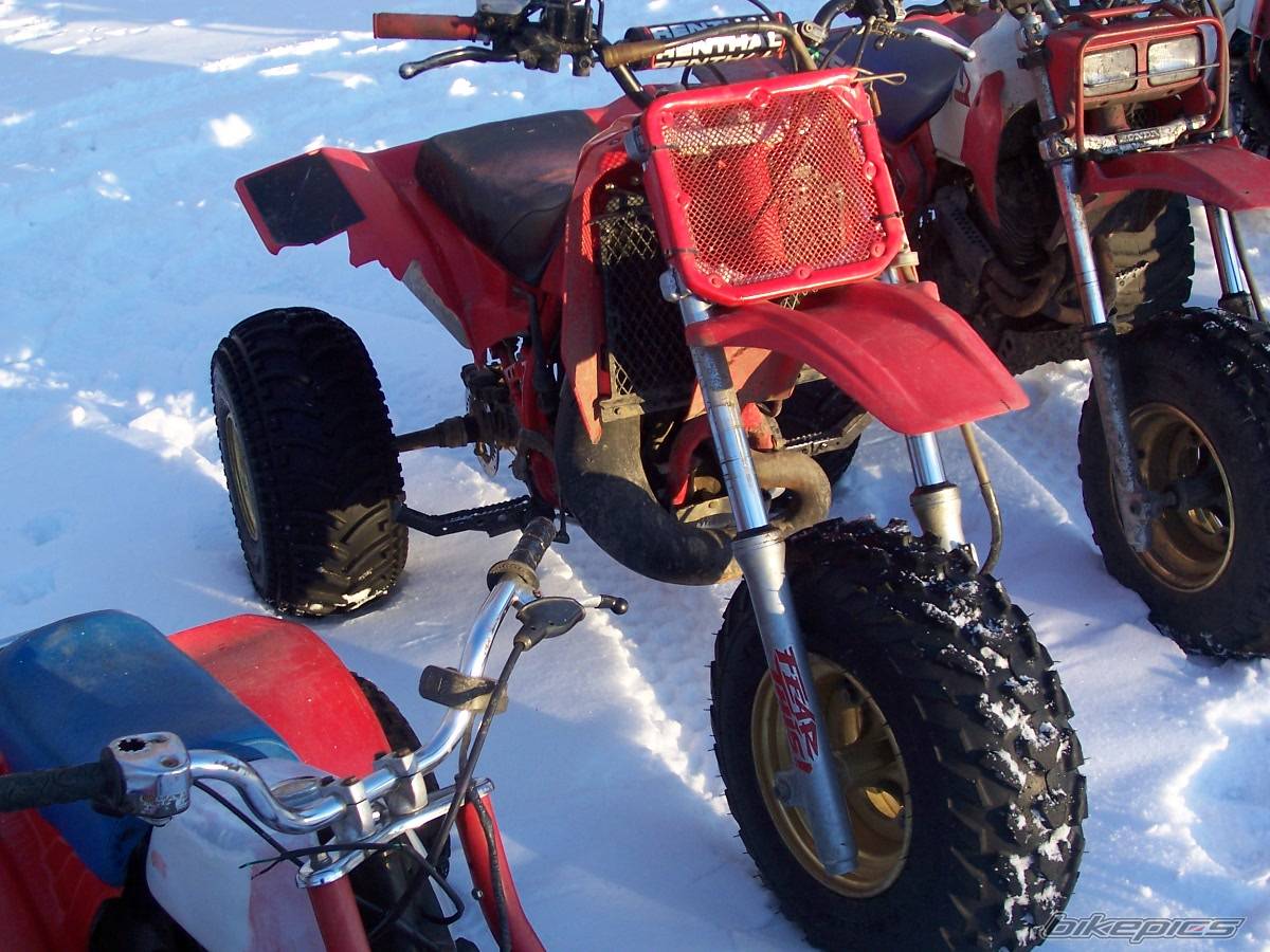 Bike Photo 302535