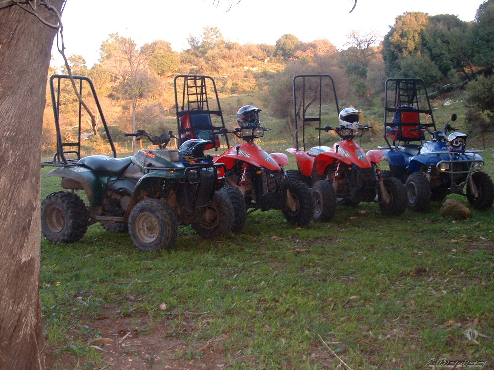 Bike Photo 302542