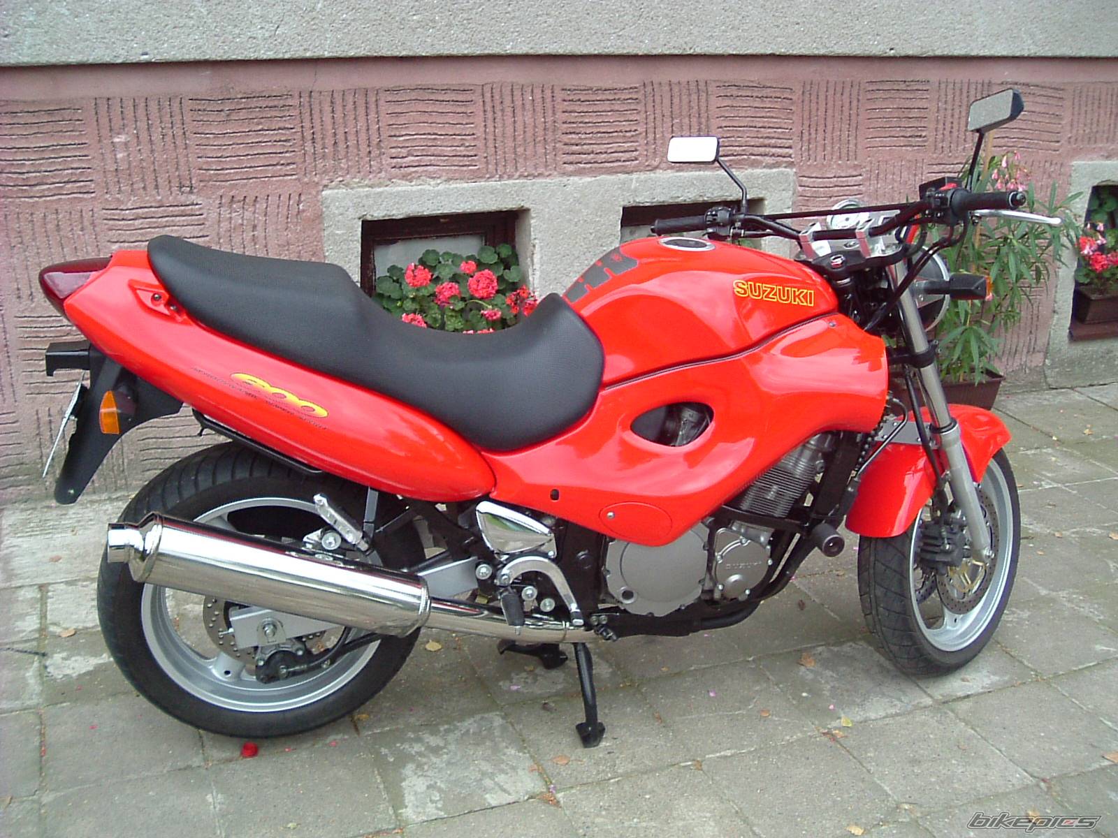 Photo 302549