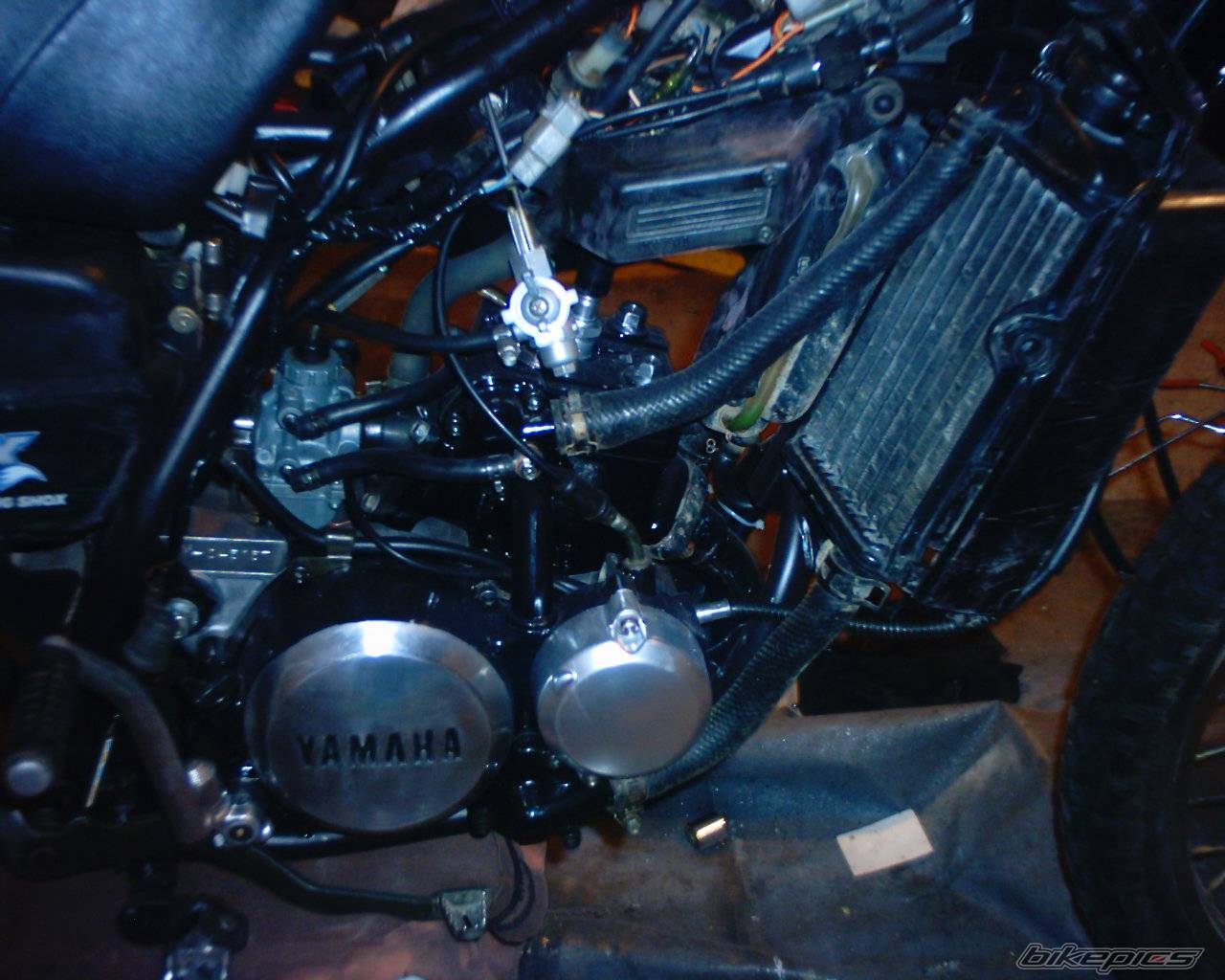 Bike Photo 302557