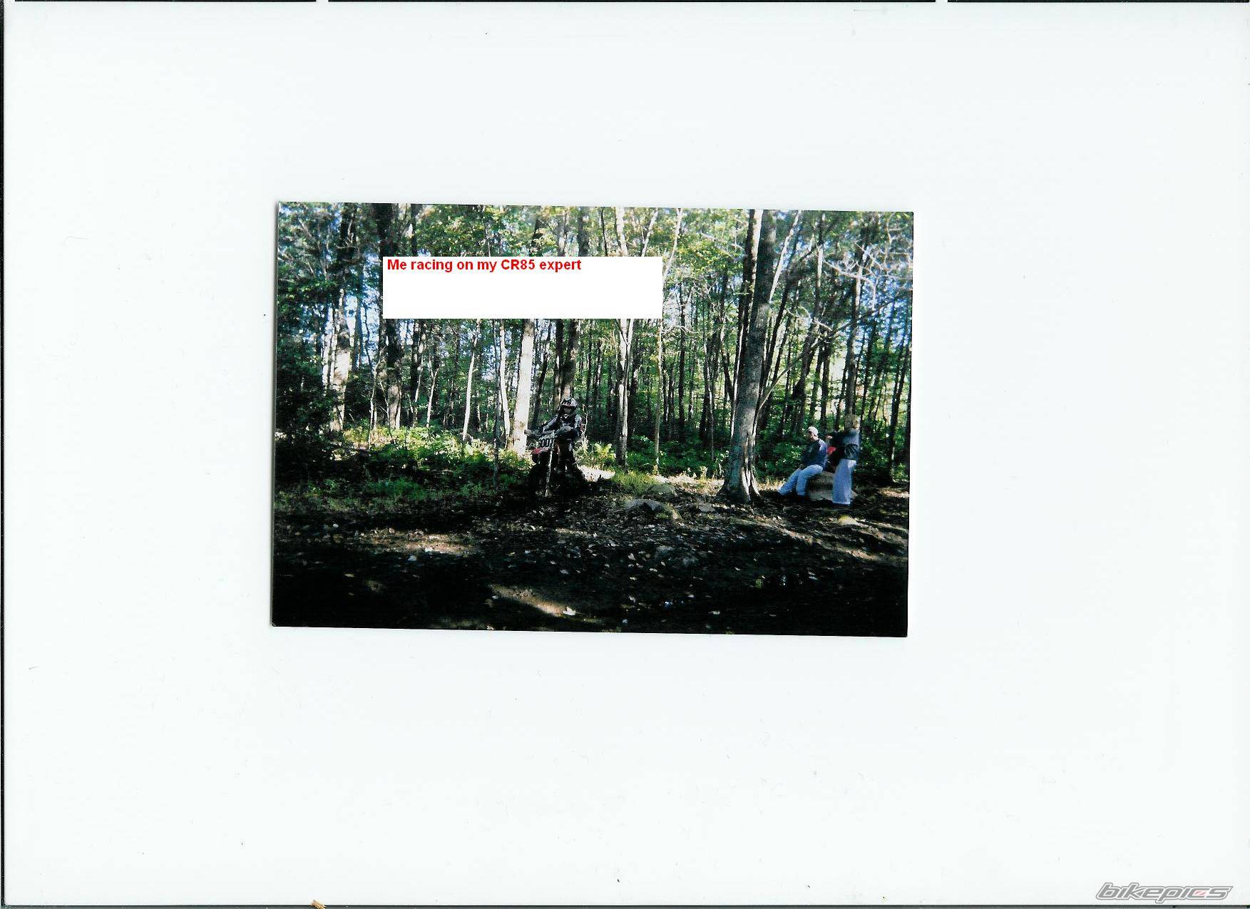 Photo 302586