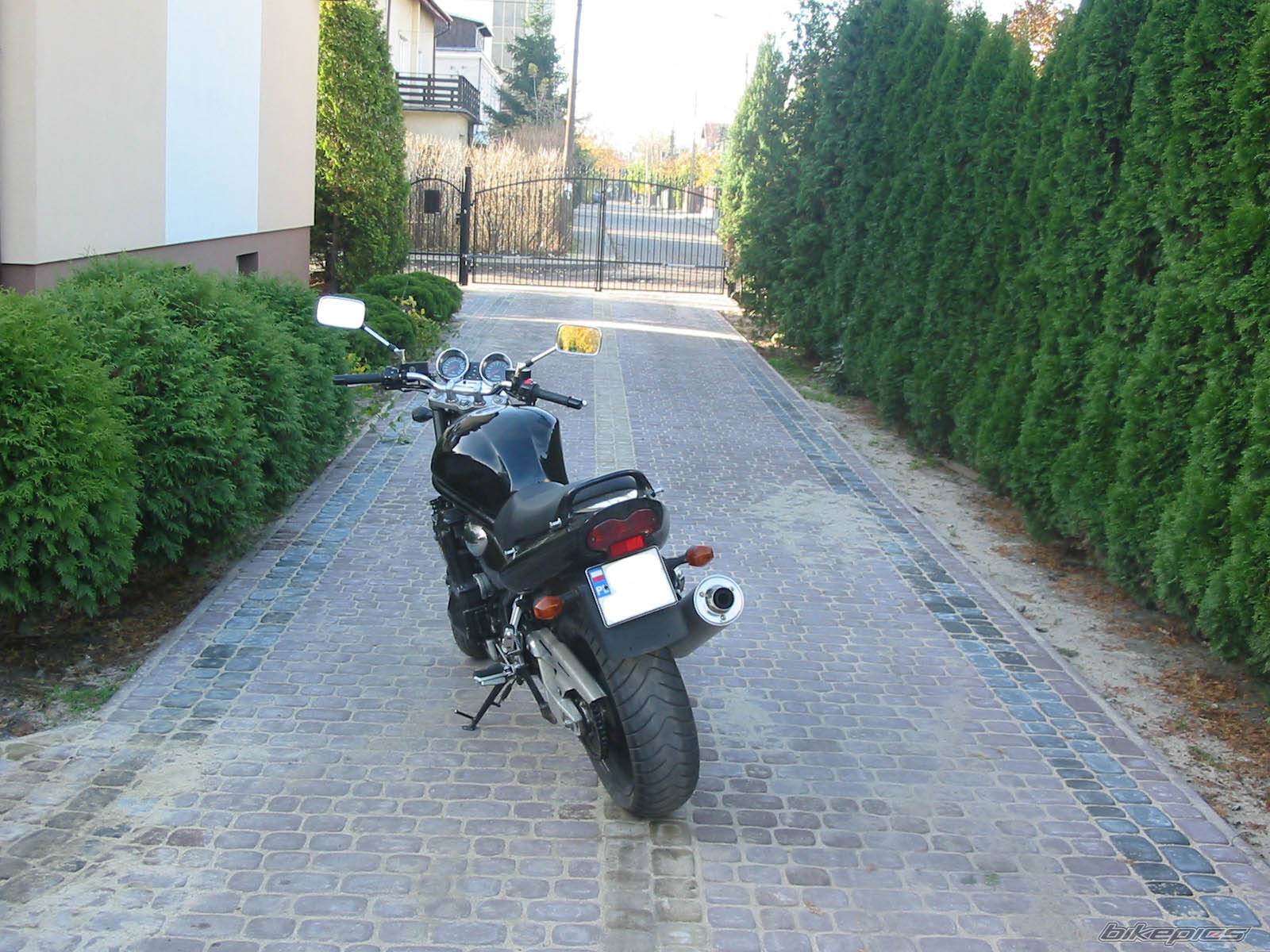 Photo 302621