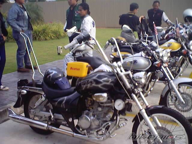 Photo 302641
