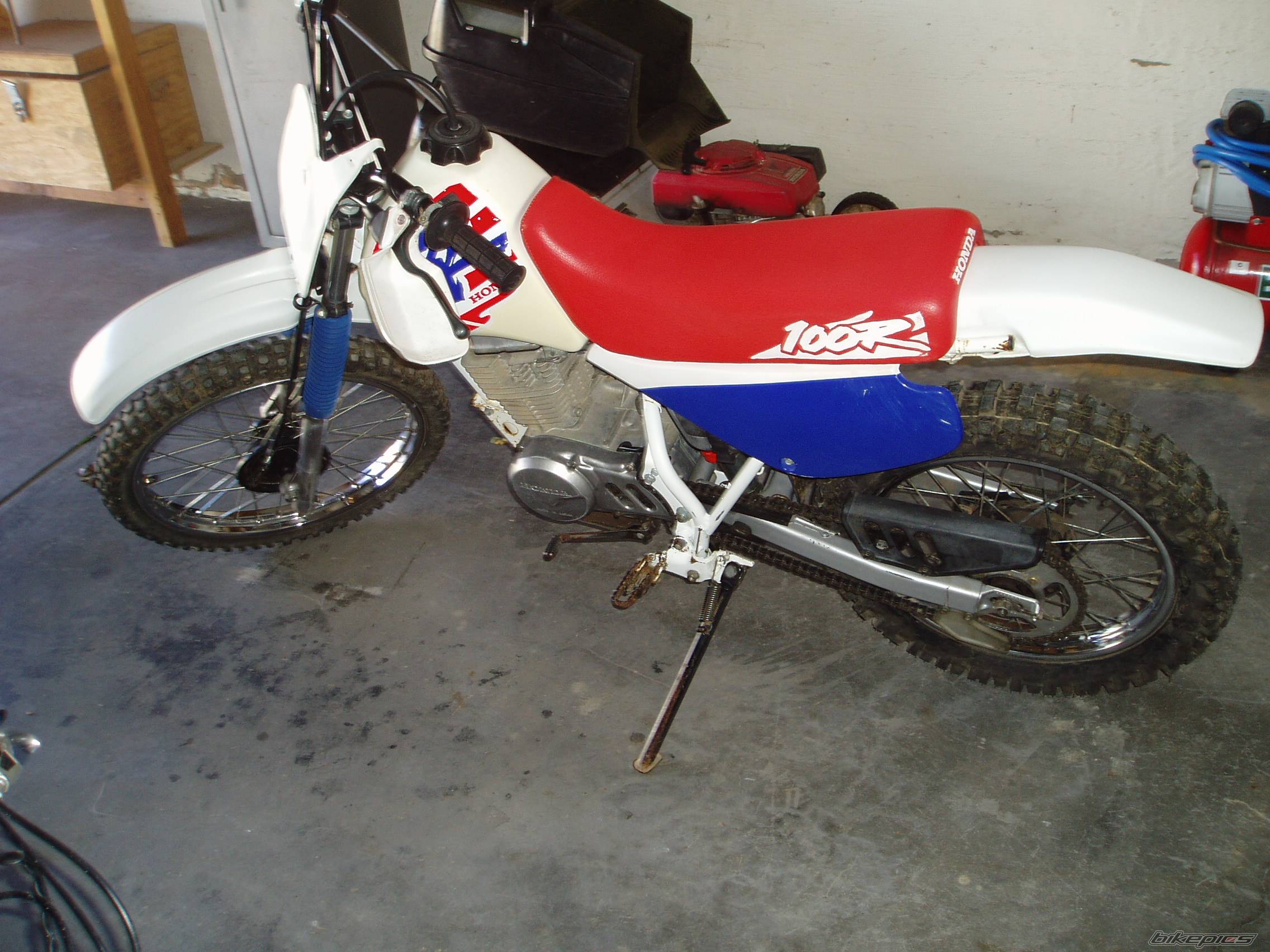 Photo 302643