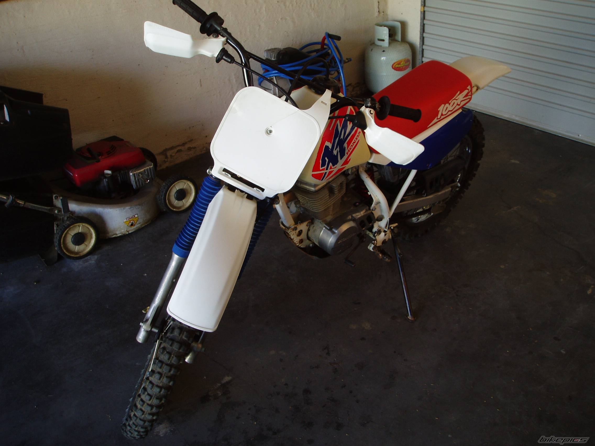 Photo 302644