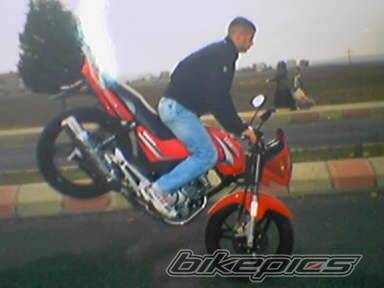 Photo 302687