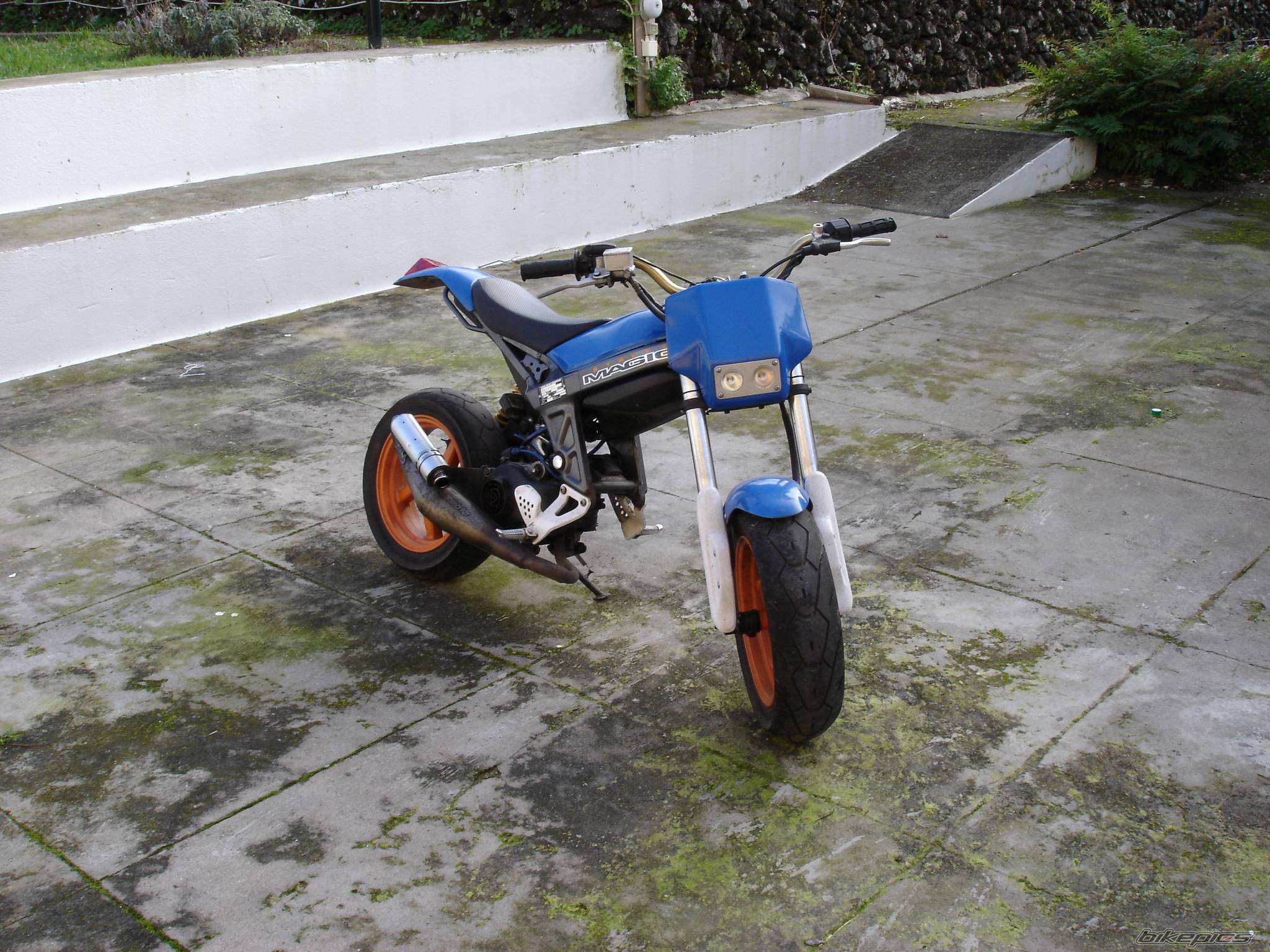 Photo 302743