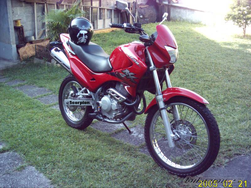 Photo 302753