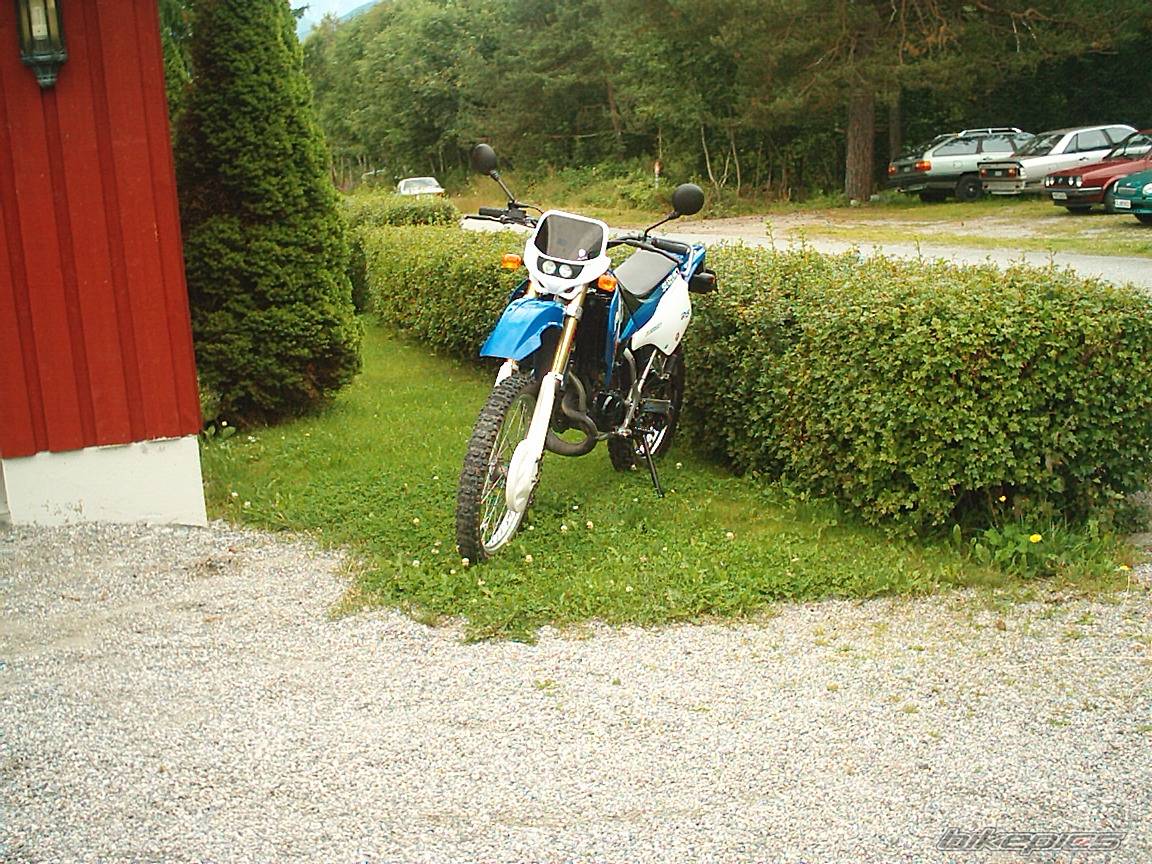 Bike Photo 302783