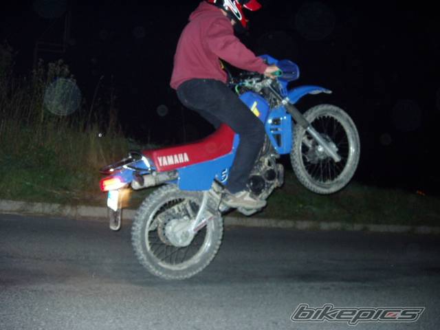 Photo 302786