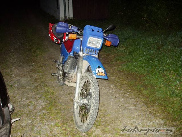 Photo 302787