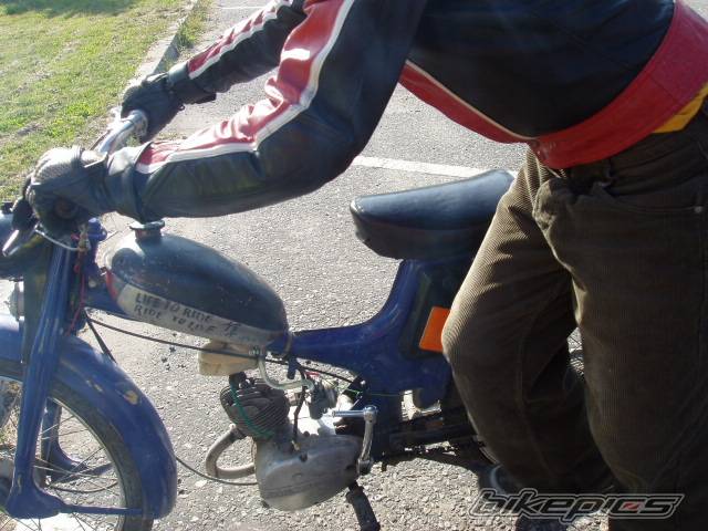 Photo 302790