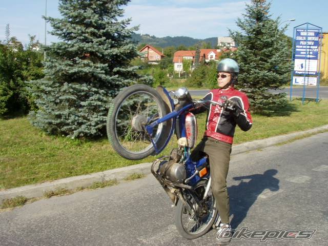 Photo 302792
