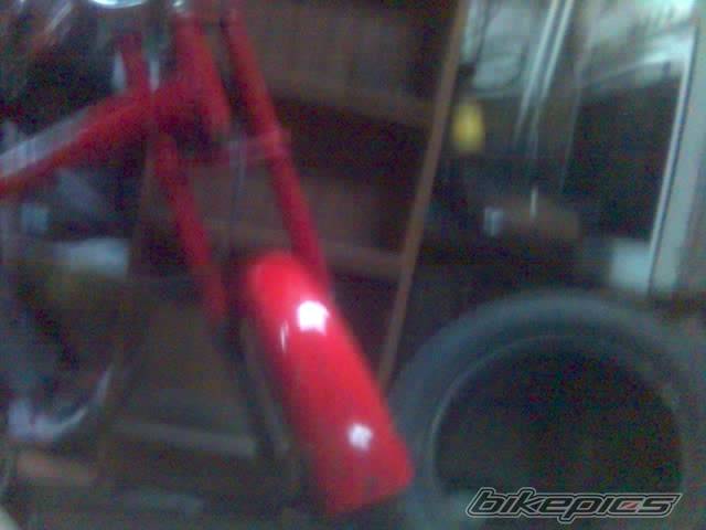 Photo 302807