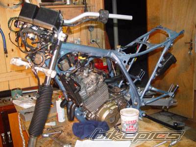 Bike Photo 302877