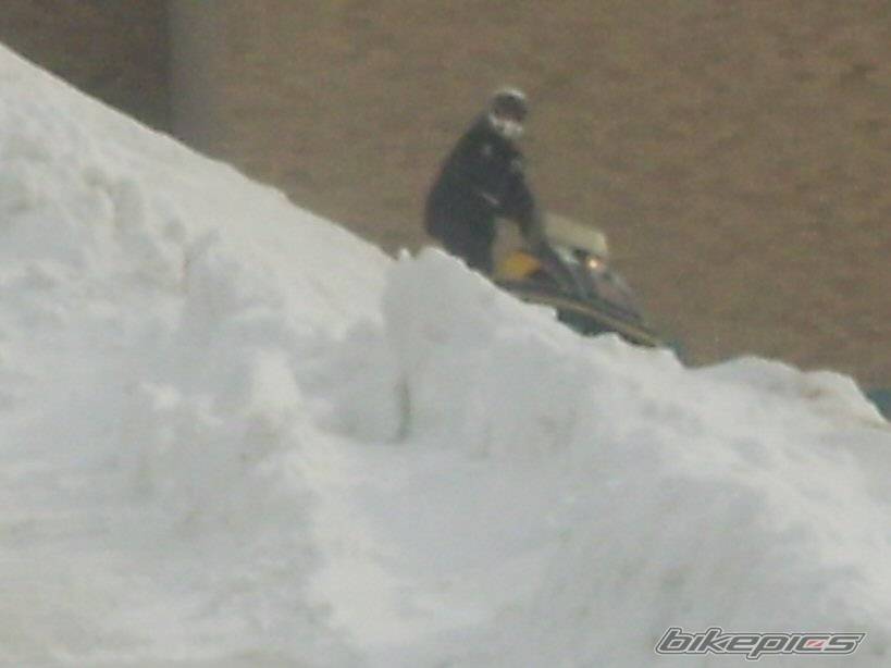 Photo 302925