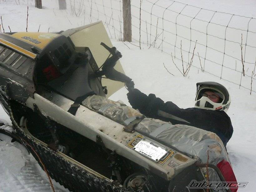 Photo 302932