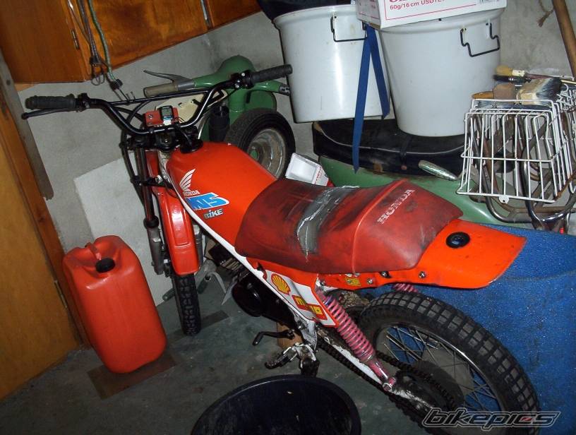 Photo 302985