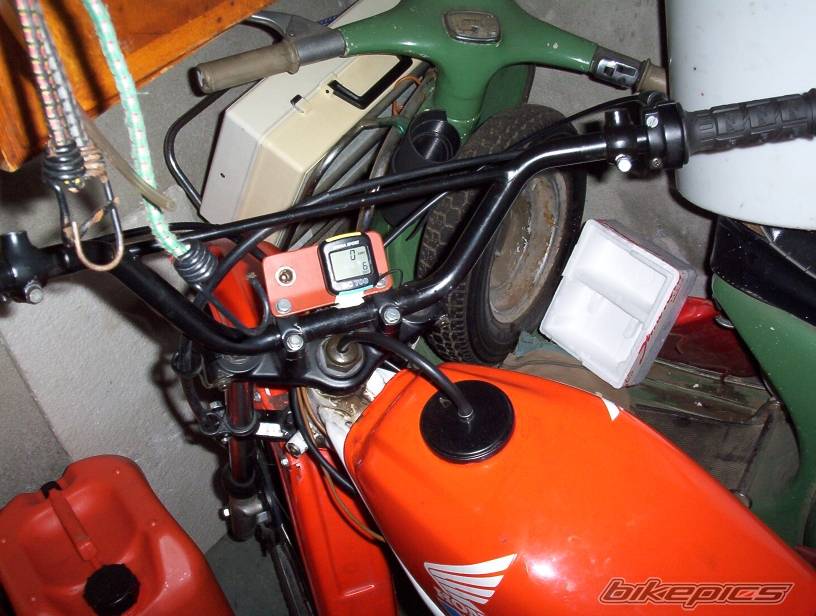 Photo 302987