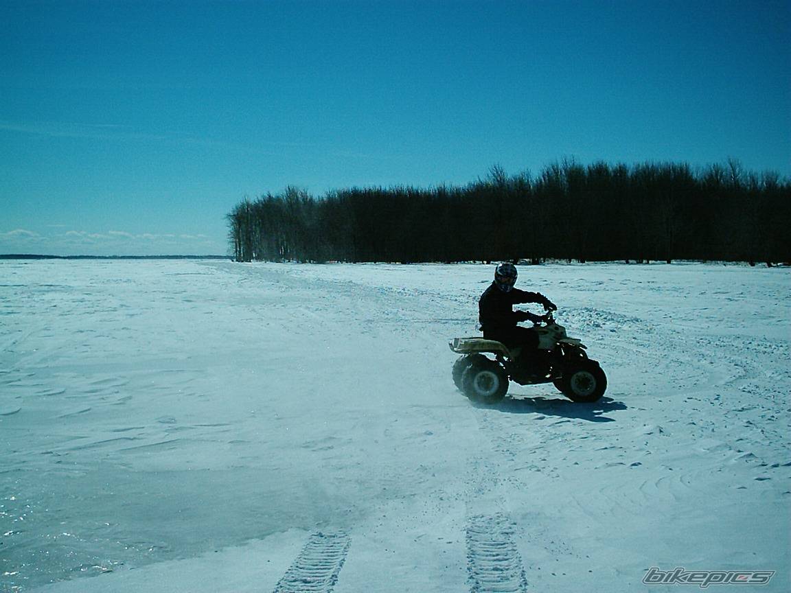Photo 303016