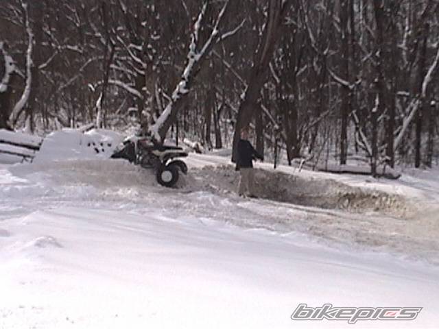 Photo 303086