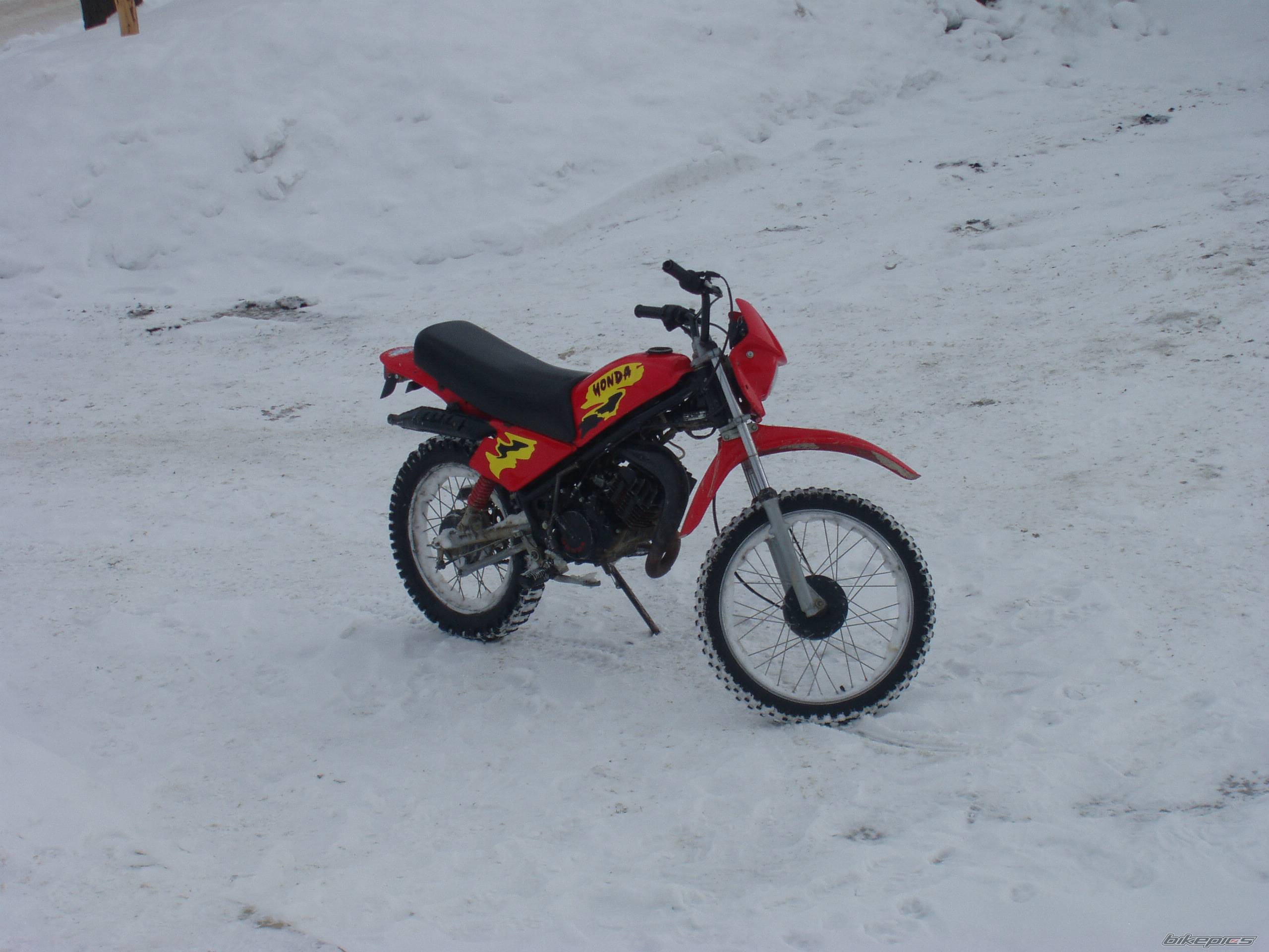 Photo 303115