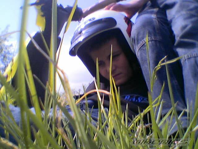 Photo 303124