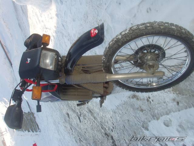 Photo 303149